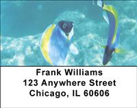 Surgeonfish Address Labels