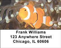 Clown Fish Address Labels