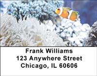 Clown Fish Address Labels