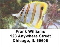 Beautiful Fish Address Labels