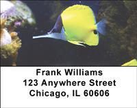 Beautiful Fish Address Labels