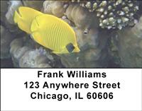 Beautiful Fish Address Labels
