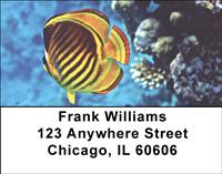 Beautiful Fish Address Labels