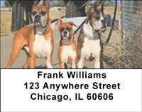 Boxer Pals Address Labels