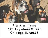 Boxer Pals Address Labels