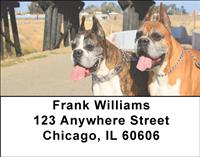 Boxer Pals Address Labels