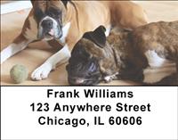 Boxer Pals Address Labels