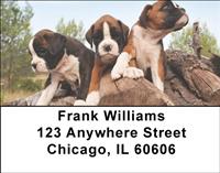 Boxer Puppies Address Labels