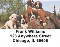 Boxer Puppies Address Labels