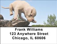 Boxer Puppies Address Labels