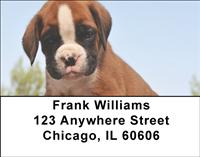 Boxer Puppies Address Labels