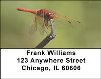 Red Dragonflies Address Labels