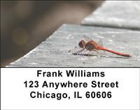 Red Dragonflies Address Labels