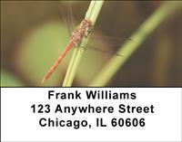 Red Dragonflies Address Labels