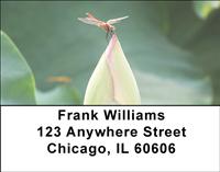 Perching Dragonfly Address Labels
