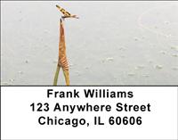 Perching Dragonfly Address Labels