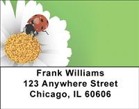 Cute As a Bug Address Labels