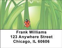 Cute As a Bug Address Labels