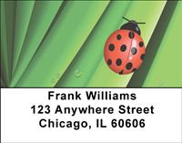 Cute As a Bug Address Labels