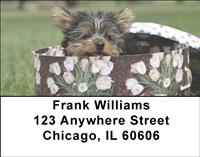 Adorable Yorkies Address Labels
