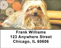 Adorable Yorkies Address Labels