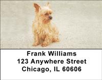 Yorkie Pups Address Labels
