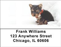 Yorkie Pups Address Labels