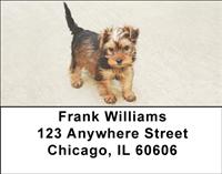 Yorkie Pups Address Labels