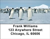 Emperor Penguins Address Labels