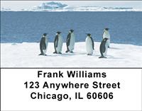 Emperor Penguins Address Labels