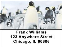 Emperor Penguins Address Labels