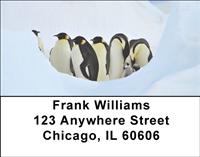 Emperor Penguins Address Labels