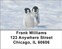 Cute Penguin Chicks Address Labels