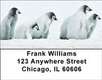Cute Penguin Chicks Address Labels