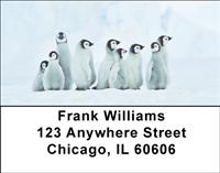 Cute Penguin Chicks Address Labels