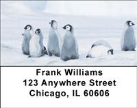 Cute Penguin Chicks Address Labels