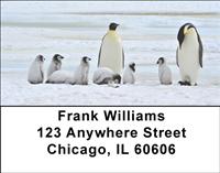 Penguin Families Address Labels