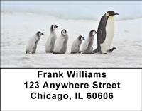 Penguin Families Address Labels