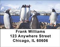 Penguin Pals Address Labels