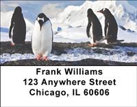 Penguin Pals Address Labels