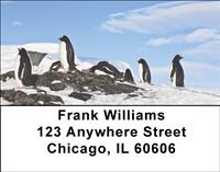 Penguin Pals Address Labels
