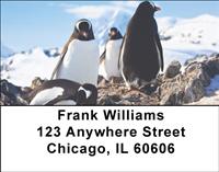 Penguin Pals Address Labels