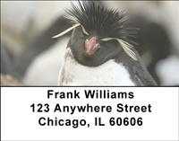 Rockhopper Penguins Address Labels