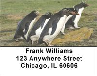 Rockhopper Penguins Address Labels