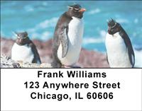 Rockhopper Penguins Address Labels