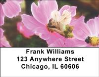 Flower Fairies Address Labels