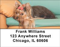 Yorkies Are Fun Address Labels