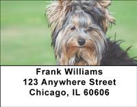 Yorkies Are Fun Address Labels