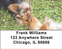 Yorkies Are Fun Address Labels