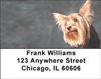 Playful Yorkies Address Labels